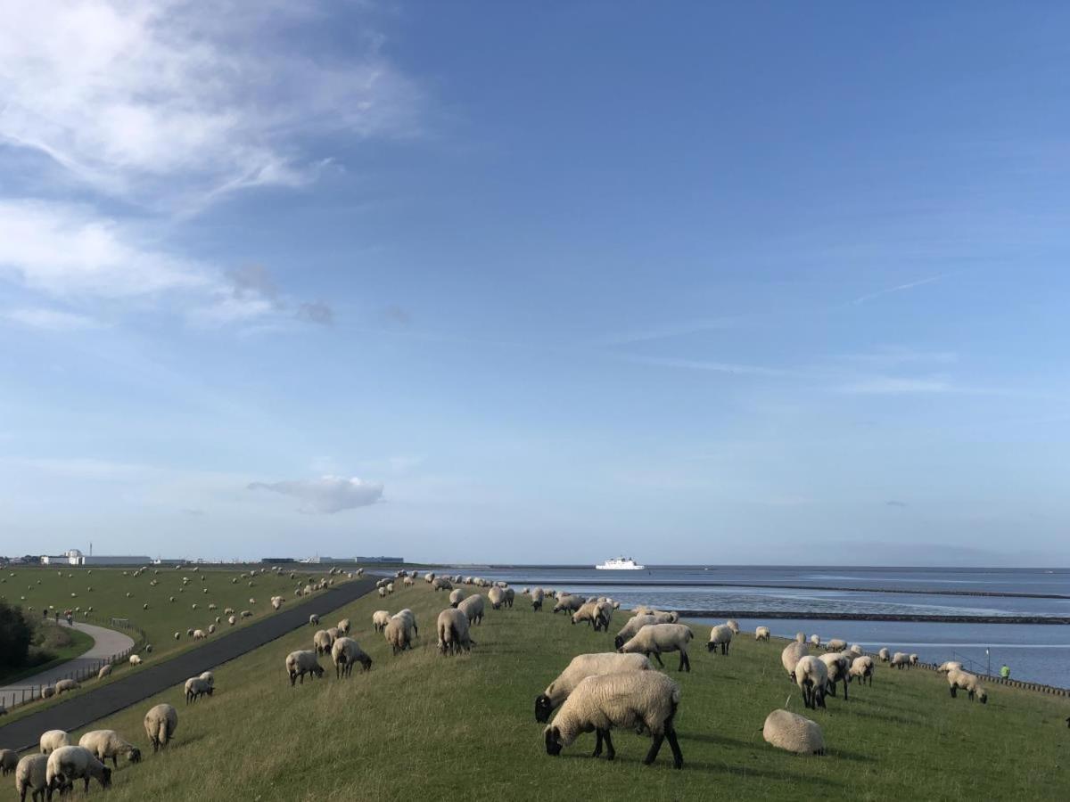 Wind Und Meer - Traumhaft An Der Nordsee Norddeich  Exterior photo